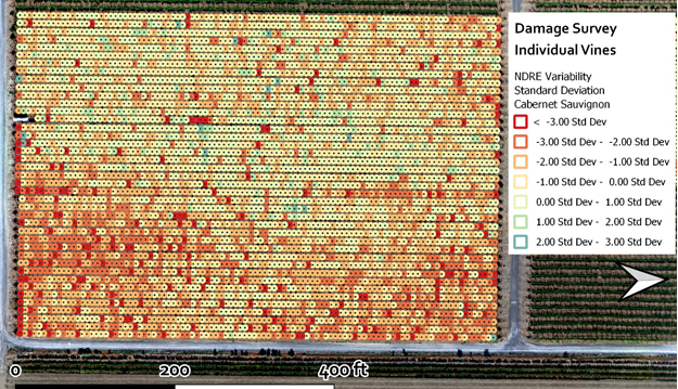 Damage Survey Individual Vines