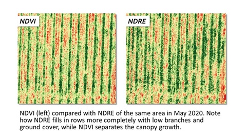 NDVI vs NDRE